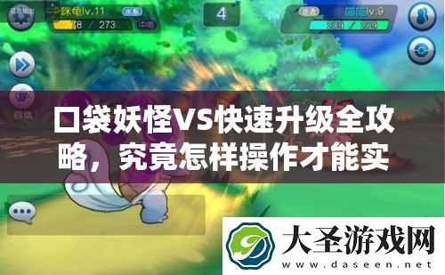 口袋妖怪VS快速升级全攻略