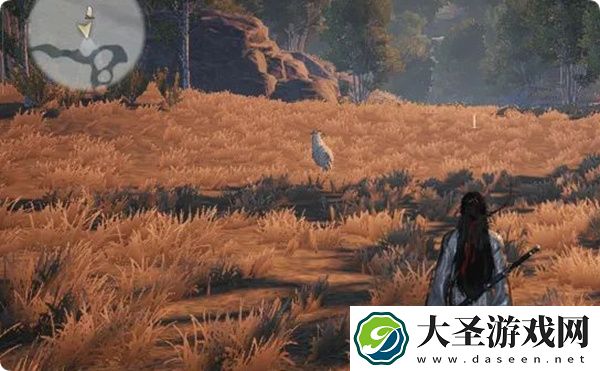 燕云十六声脂尾羊刷取方法分享