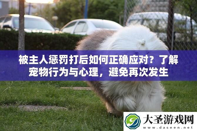 被主人惩罚打后如何正确应对