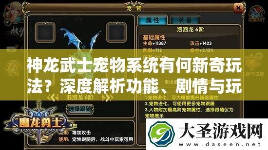 神龙武士宠物系统有何新奇玩法