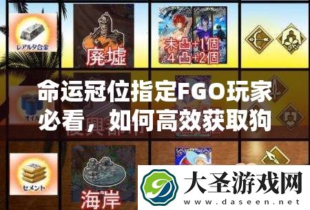 命运冠位指定FGO玩家必看
