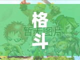 格斗群英传小师妹技能效果与能力究竟有多强