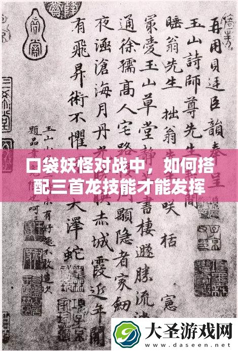 口袋妖怪对战中