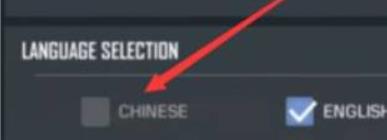 使命召唤怎么设置中文