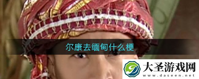 尔康去缅甸什么梗
