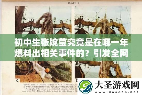 初中生张婉莹究竟是在哪一年爆料出相关事件的