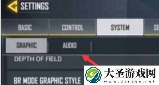 使命召唤怎么设置中文