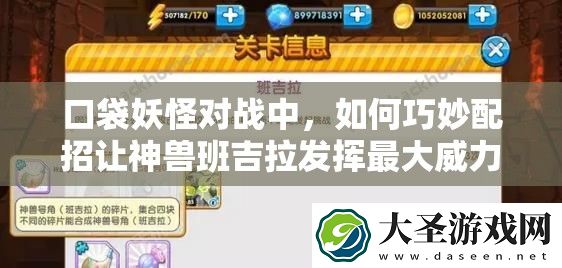 口袋妖怪对战中