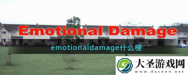 emotionaldamage什么梗