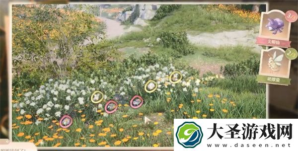 无限暖暖照片调查白日昆虫任务攻略