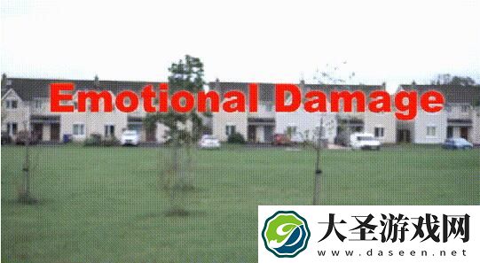 emotionaldamage什么梗