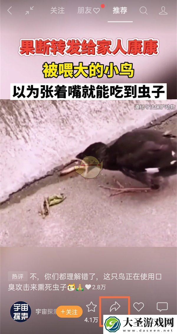 微信视频号怎么转发给别人