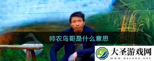 帅农鸟哥是什么意思