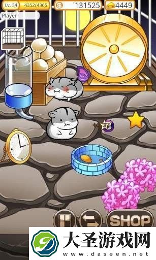 仓鼠迷宫
