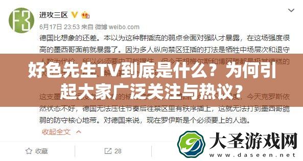 好色先生TV到底是什么