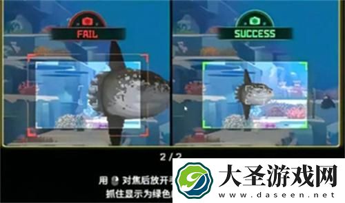 潜水员戴夫怎么拍照