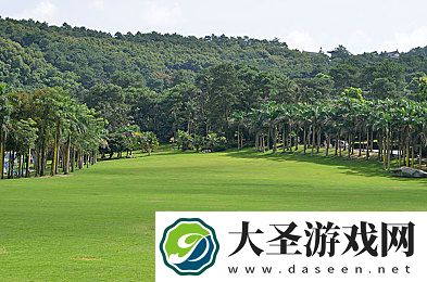 jamy购物网