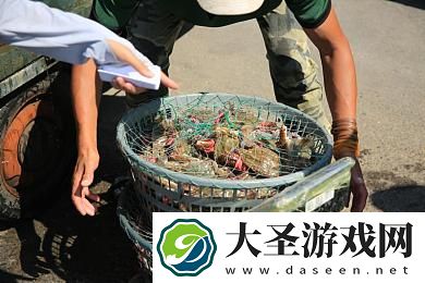 枫花恋上司出差温泉