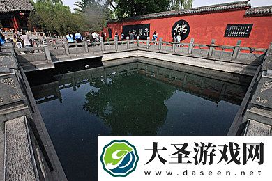 jamy购物网
