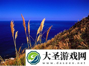 jamy购物网