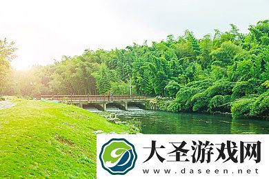 黄片网站大全oppo