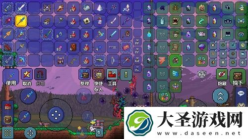 泰拉瑞亚召唤师饰品搭配推荐