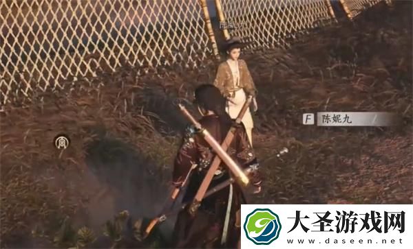 燕云十六声偷瓜之贼任务怎么做