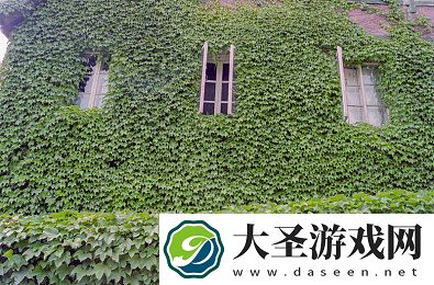 精油按摩按到高潮惨
