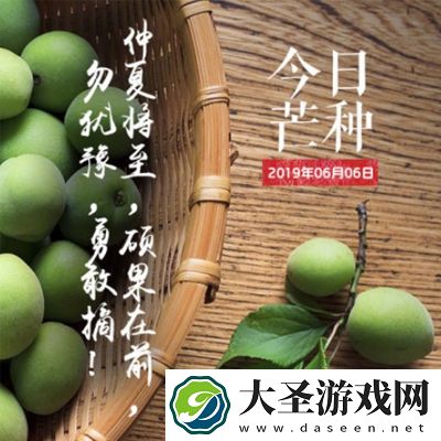 麻豆tv黑料正能量在线观看｜网络红人双重世界