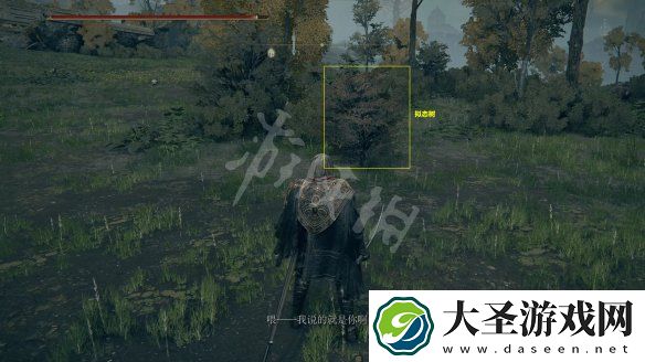 艾尔登法环裁缝支线任务怎么做