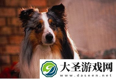芭乐视频app视频污在线|芭乐视频探秘