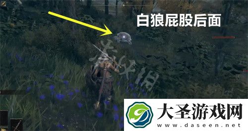 艾尔登法环三只睿智兽物位置介绍