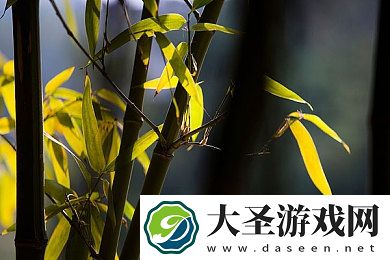 6090新｜“融合60年代经典与90年代创新