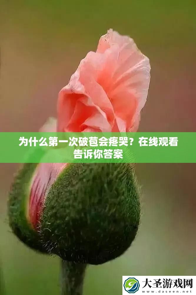 为什么第一次破苞会疼哭