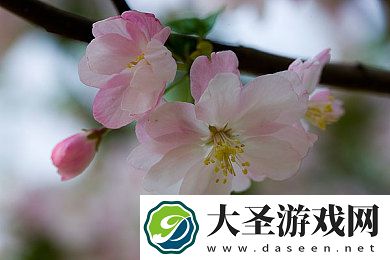 小学六年级用钢笔还是中性笔|“小学六年级书写工具大揭秘