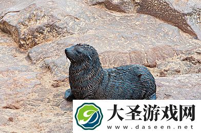 新婚真空走光不打码