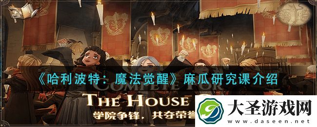 哈利波特魔法觉醒麻瓜研究课是什么