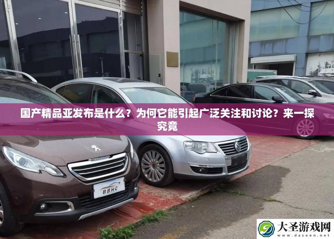 国产精品亚发布是什么
