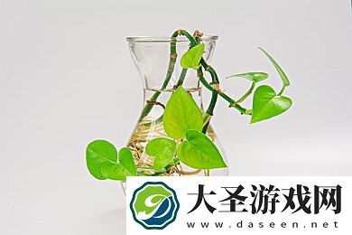 蜜豆视频｜蜜豆冒险乐园