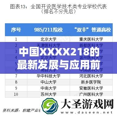 中国XXXX218的最新发展与应用前景解析