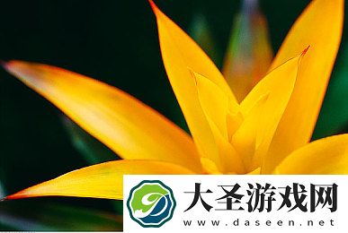 ****hud下载