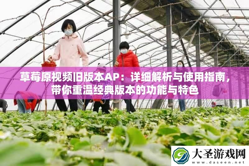 草莓原视频旧版本AP