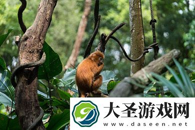 新婚真空走光不打码