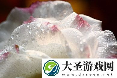 丰满的少妇5伦理｜影视作品中丰满少妇形象伦理挑战与角色塑造探讨