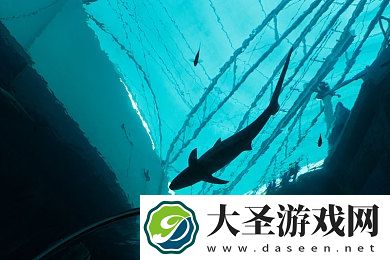 红桃视频入口成免费人入口