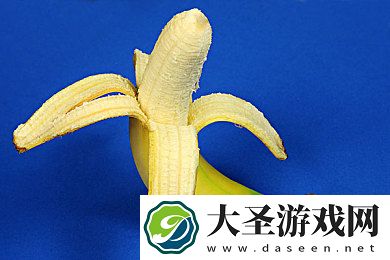 两人剧烈运动扑克牌网站免费｜扑克狂欢盛宴