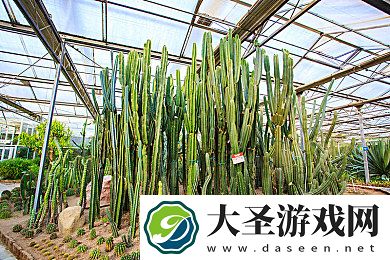 女生仙女棒坐着使用教程｜仙女棒座椅走红