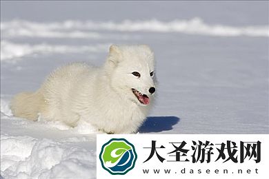 麻豆tv黑料正能量在线观看｜网络红人双重世界