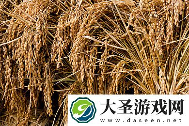 国产男同大尺度网站｜网络隐秘角落的蜕变