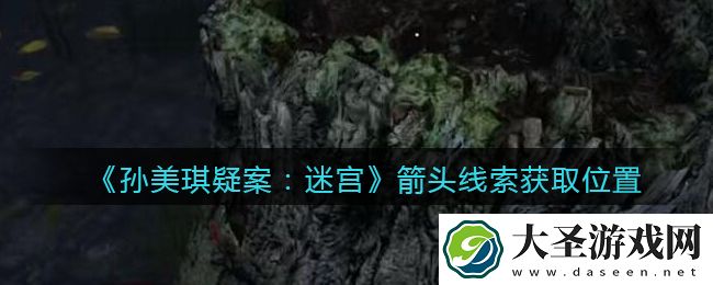 孙美琪疑案迷宫攻略箭头在哪里